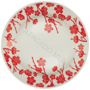 PRATO RASO BIONA DONNA ORIENTAL 24CM